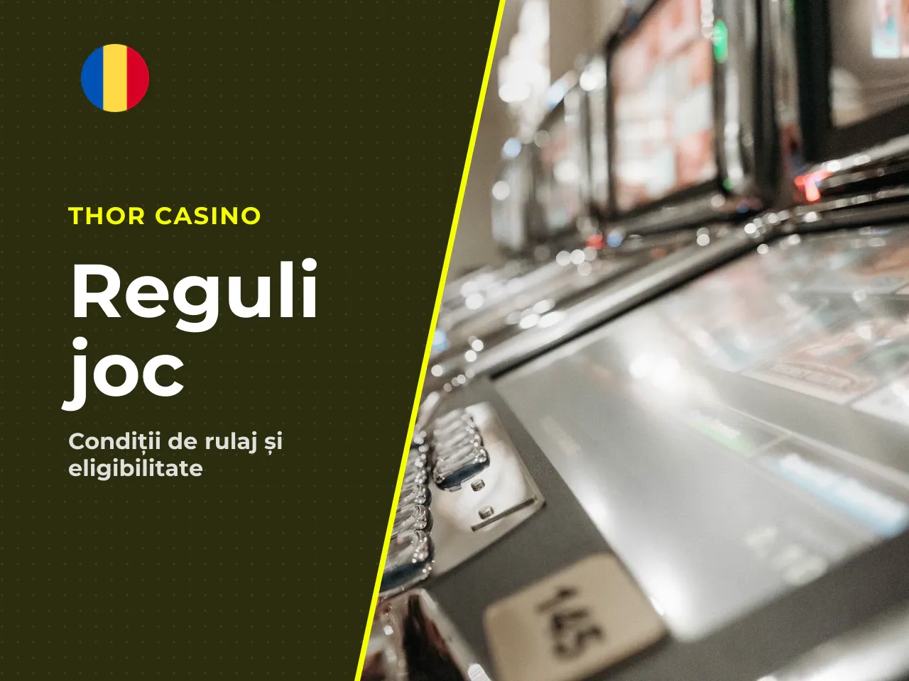 Furnizori eligibili și sloturi excluse de