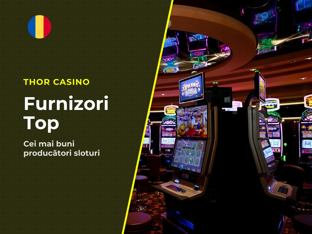 Top providers în catalogul de casino