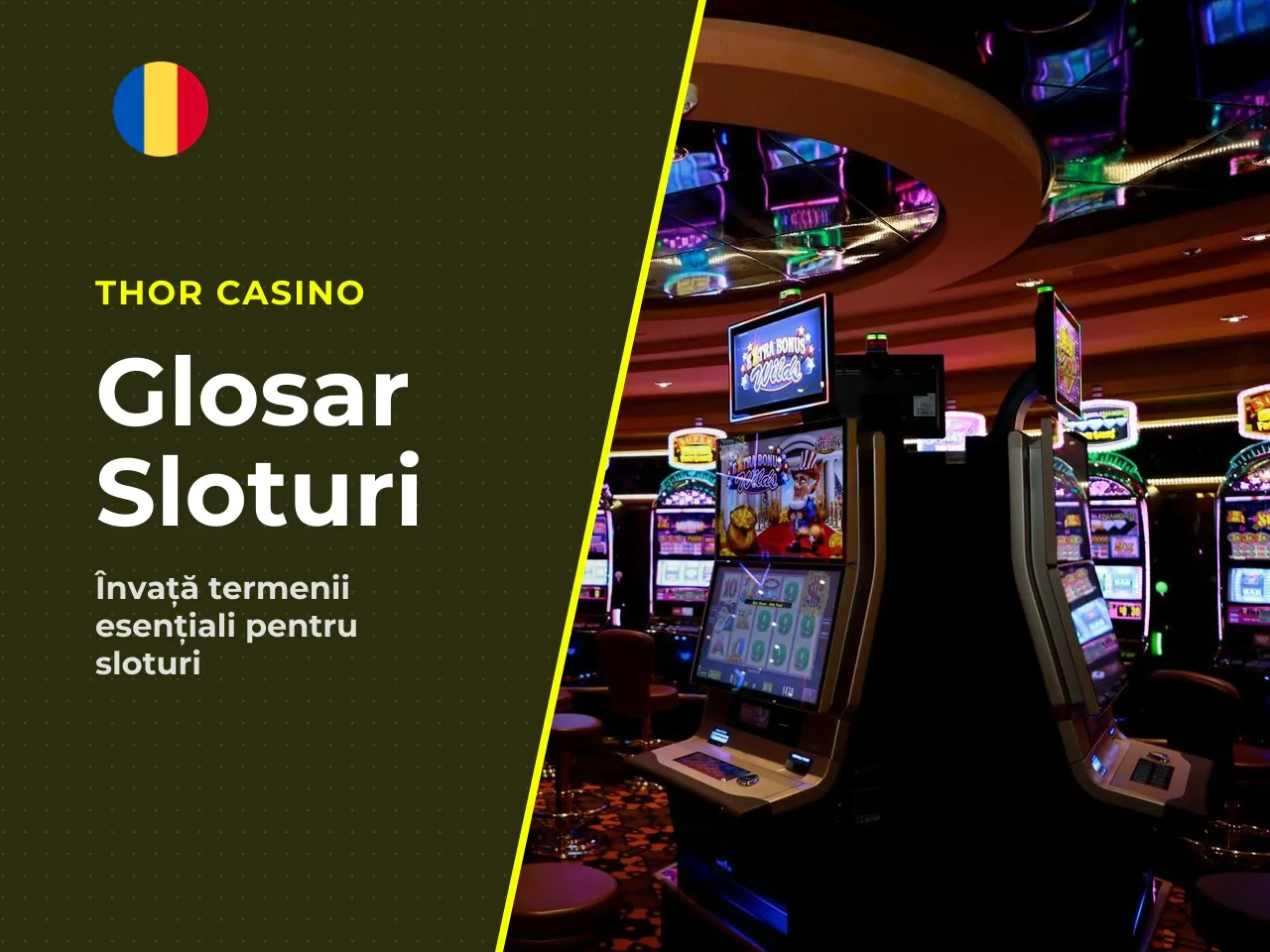 Mini-glosar termenii care apar în fișa