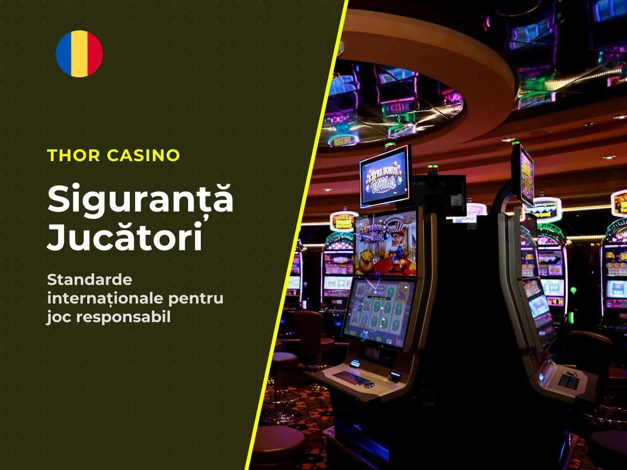 În plan internațional, cadrele de reglementare