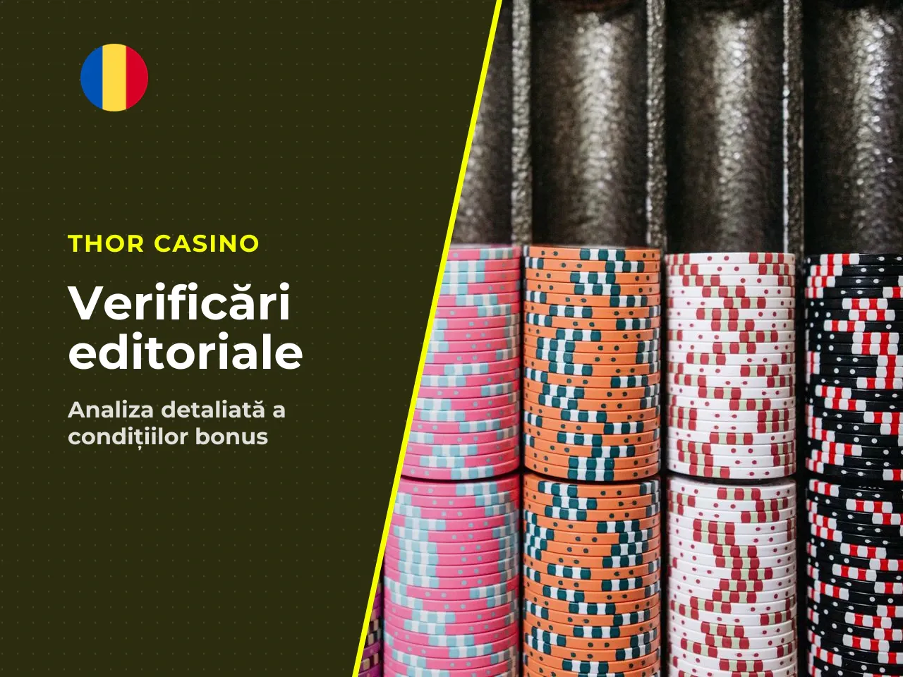 Anexă sinteza verificărilor editoriale